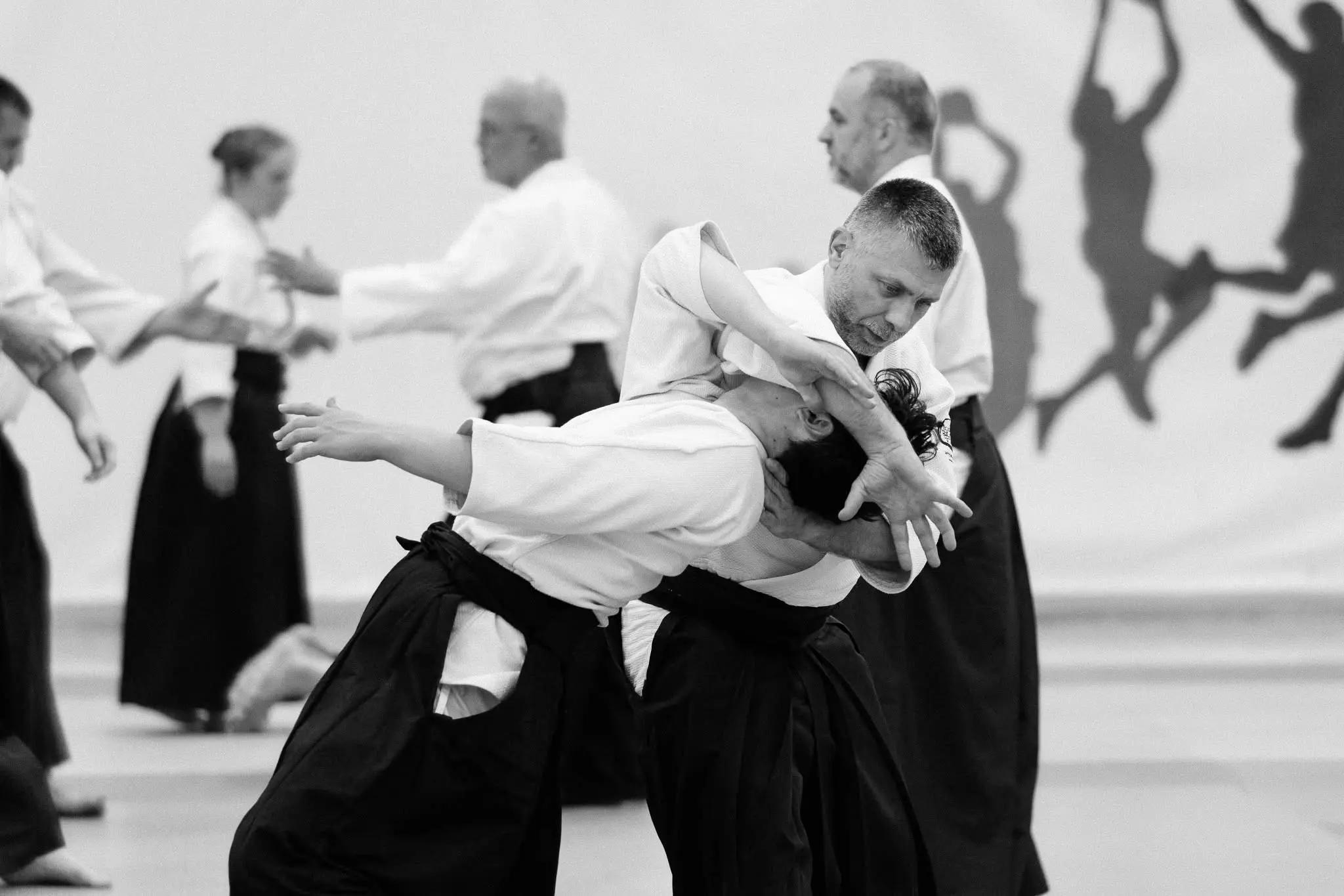 Látványos pusztakezes aikido technika