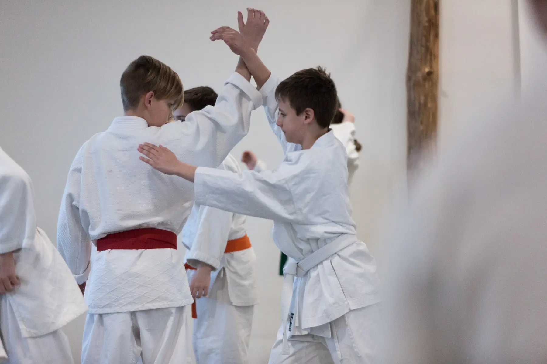 Közös aikido gyakorlás